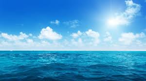 the ocean is a key carbon dioxide sink