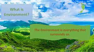 In these societies, cultural behavior and beliefs may need to be spelled out explicitly so that those coming into the cultural environment know how to. Hi Everyone This Department Of Environment St Kitts Facebook