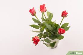 Following the instruction will help you to make flowers last longer and keep them fresh for a maximal period of time. 4 Ways To Make Fresh Flowers Last Longer Wikihow