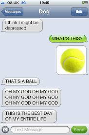 Great for a good laugh. What If Dogs Could Text 25 Hilarious Texts From Dogs Bored Panda