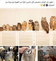 pin on كلام
