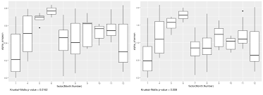 Image result for Plicosepalus sagittifolius