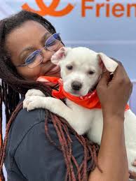 Vegan Leather Couch Donation for Bring Love Home Campaign in Northwest  Arkansas