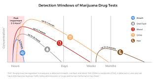 75 Veracious Passyourdrugtest Chart