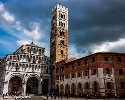 Other critters and our grounds. San Martino Cathedral Visit Tuscany