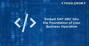 Embed Sap Grc Into The Foundation Of Your Business Operation In 2020 Business Operations Technology Management Sap