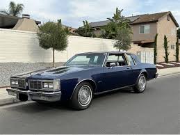 Image result for Rhone Blue 1983 Colt