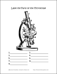 Science Worksheets And Coloring Pages You Can Print At Home Science Worksheets Microscopic Microscope Kids