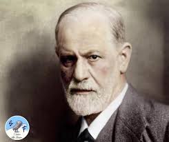 I sentieri della filosofia