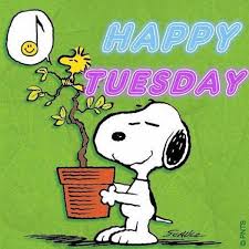 HAPPY TUESDAY MORE cartoon graphics &... - Cartoon pictures | Facebook