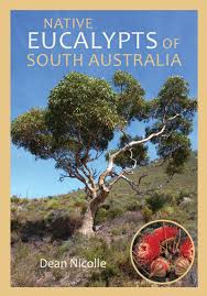 An illustrated glossary has been dramatically improved. Eucalypts Of South Australia
