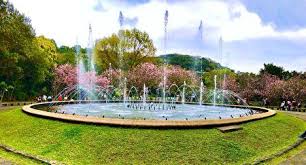 阳明山赏花吧 outdoor waterfall water