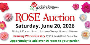Rose Auction by Ventura County Rose Society
