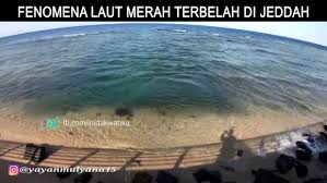 Gambar laut merah yang terbelah. Ini Dakwah Ku Fenomena Laut Merah Terbelah Di Jeddah Masyaallah Kagum Facebook