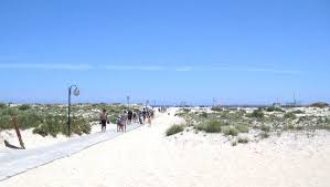 We did not find results for: Tavira Island Beaches In Tavira Tavira Guide