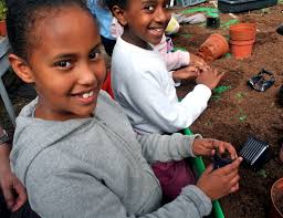 Ma'ase Olam (@MaaseOlam)