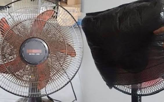 Cách vệ sinh quạt điện không cần tháo nhanh chóng