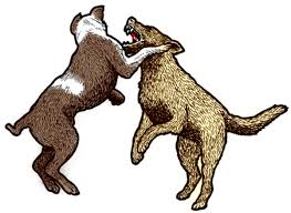 Aggression Between Dogs In The Same Household Psychology Today Dog play mimics fighting and can sometimes look rougher than it really is. aggression between dogs in the same