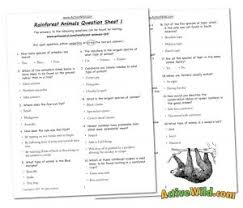 Rainforest Animals List With Pictures Facts Free Printable Worksheet