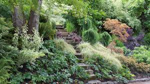 If is slope that is 2:1 drops one meter (foot/unit) for every horizontal meter (foot/unit). How To Create A Beautiful Hillside Garden Sunset Magazine