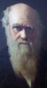 Evolution or Creation?