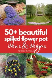 52 Amazing Spilled Flower Pot Ideas That Art Of Gardening Flower Pots Flowers Porch Landscaping