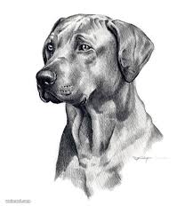 Simple pencil drawing ideas eyes. 50 Realistic Pencil Drawings And Drawing Ideas For Beginners