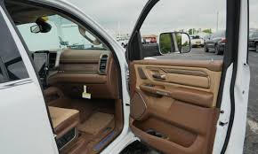 Image result for Earth Brown 2020 Ram