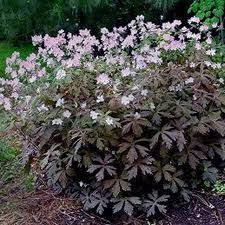 Pin On Plant Logs