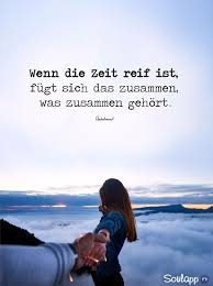 Habe Dieselbe Einstellung Betrachtung Wir Beide Sind Fureinander Bestimmt Daizo Nachdenkliche Spruche Spruche Zitate Spruche