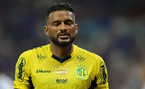 Botafogo en la mira: ¿Respeto o crisis? Análisis y futuro del campeón - Imagen principal del artículo