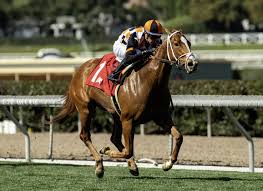 Image result for Brown 1999 Fleet