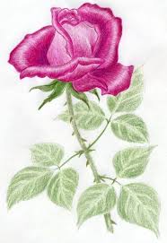 Very Simple How To Draw A Rose Step By Step Tutorial Flower Drawing Roses Drawing Flower Sketches Learn to draw flowers, fruits, vegetables and more. step tutorial flower drawing