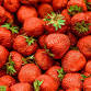 Strawberry Festival in Middletown Springs