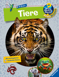 Waldschule tierspuren waldtiere vorschule wald grundschule waldkindergarten naturkunde tiere. Natur Tiere Michaelsbund