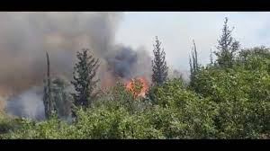 שריפה נרחבת משתוללת משעות אחר הצהריים (ראשון) בהרי ירושלים. Trssba Pthfyym