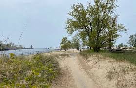 Best beach trails in Holland | AllTrails