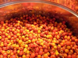 Eberesche Vogelbeerzwetschgensirup Rezept Rezept Eberesche Rezepte Zwetschgen