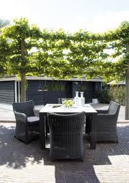 Rattan Sitzgruppe Im Garten Terrasse Sichtschutz Ideen Mit Kletterpflanzen Moderne Terrassen Sichtschutz Im Freien Terassenideen