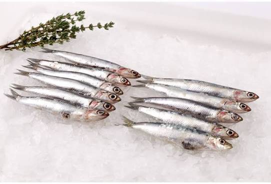 Fresh Anchovies, Whole | Citarella