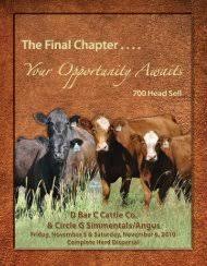 Background the term herd behavior comes from the behavior of animals in herds, particularly when they are in a dangerous situation such as Herd Behavior