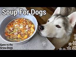Can Dogs Eat Campbells Soup 2021 The Dog Visitor