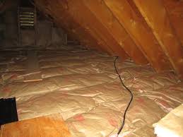 Dead mice in my basement. Attic Restoration Insulation Installation Sandown Manchester Nashua Nh Bestway Wildlife Control