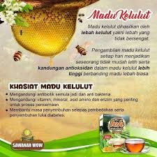Mana nak beli madu kelulut? Khasiat Madu Kelulut Ketika Berpuasa Sentiasa Panas