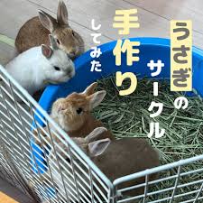 うさぎ サークル 自作