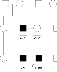 three generation pedigree showing the proband arrow and