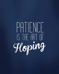 Patience Is The Art Of Hoping Magnaready Stress Free Shirting