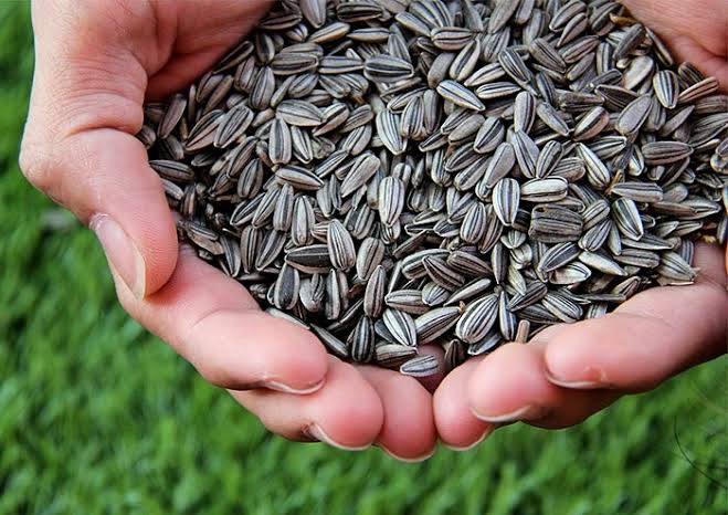 Radhe for seeds photo"