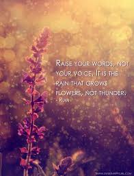 Silent Sunday Raise Your Words Not Your Voice Your Voice Quotes Voice Quotes Words