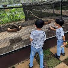 Taman safari indonesia bogor new 2020. Pengalaman Menarik Main Ke Wisata Akbar Zoo Banyuwangi Destinasio Magazine